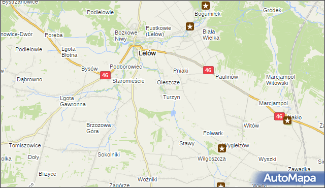 mapa Turzyn gmina Lelów, Turzyn gmina Lelów na mapie Targeo