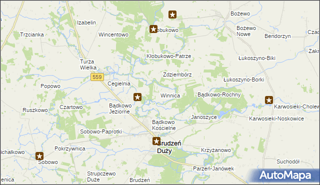mapa Winnica gmina Brudzeń Duży, Winnica gmina Brudzeń Duży na mapie Targeo