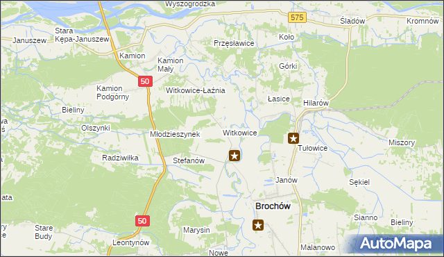 mapa Witkowice gmina Młodzieszyn, Witkowice gmina Młodzieszyn na mapie Targeo