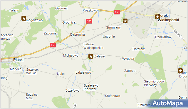 mapa Zalesie gmina Borek Wielkopolski, Zalesie gmina Borek Wielkopolski na mapie Targeo