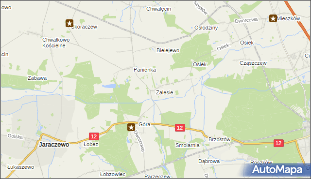 mapa Zalesie gmina Jaraczewo, Zalesie gmina Jaraczewo na mapie Targeo