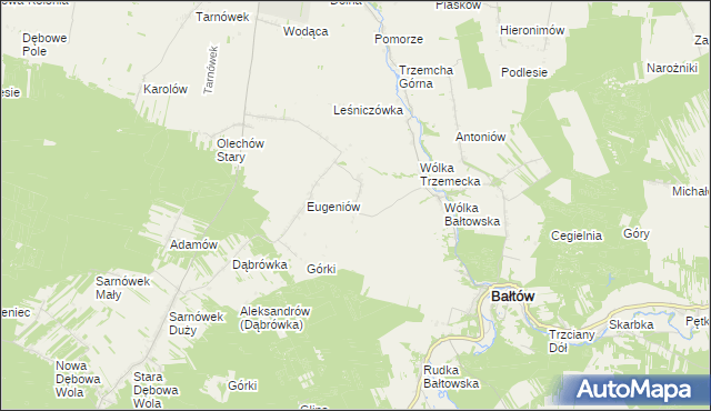 mapa Borcuchy gmina Bałtów, Borcuchy gmina Bałtów na mapie Targeo