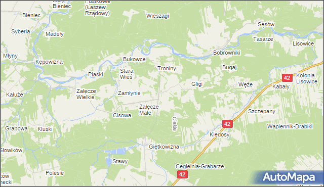 mapa Cieśle gmina Pątnów, Cieśle gmina Pątnów na mapie Targeo