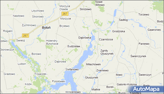 mapa Głuszyn gmina Bytoń, Głuszyn gmina Bytoń na mapie Targeo