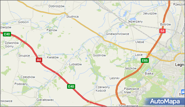 mapa Goślinów, Goślinów na mapie Targeo