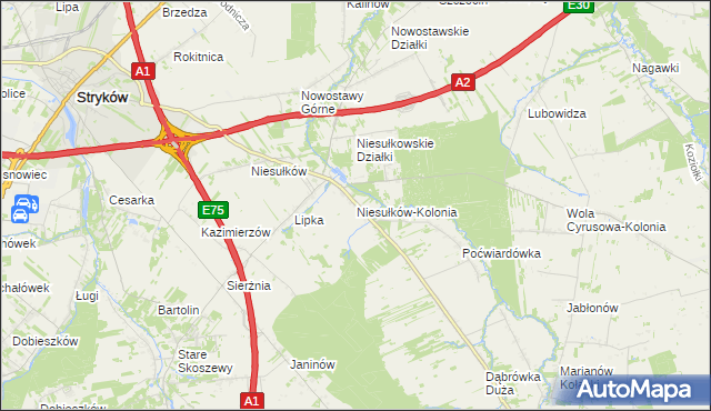 mapa Niesułków-Kolonia, Niesułków-Kolonia na mapie Targeo