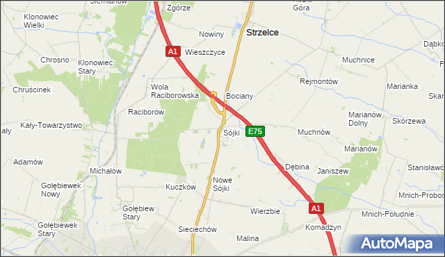 mapa Sójki gmina Strzelce, Sójki gmina Strzelce na mapie Targeo
