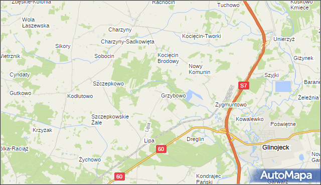 mapa Grzybowo gmina Raciąż, Grzybowo gmina Raciąż na mapie Targeo