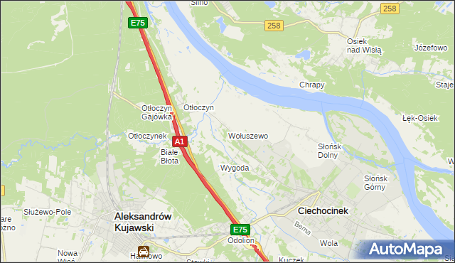 mapa Wołuszewo, Wołuszewo na mapie Targeo