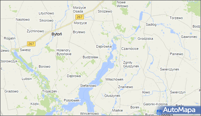 mapa Głuszyn gmina Bytoń, Głuszyn gmina Bytoń na mapie Targeo