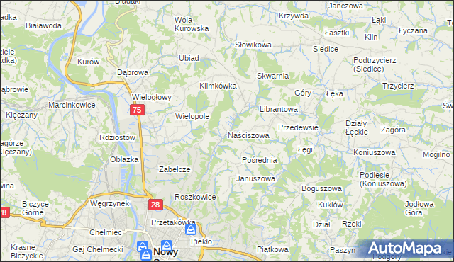 mapa Naściszowa, Naściszowa na mapie Targeo