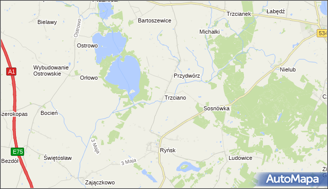 mapa Trzciano gmina Ryńsk, Trzciano gmina Ryńsk na mapie Targeo