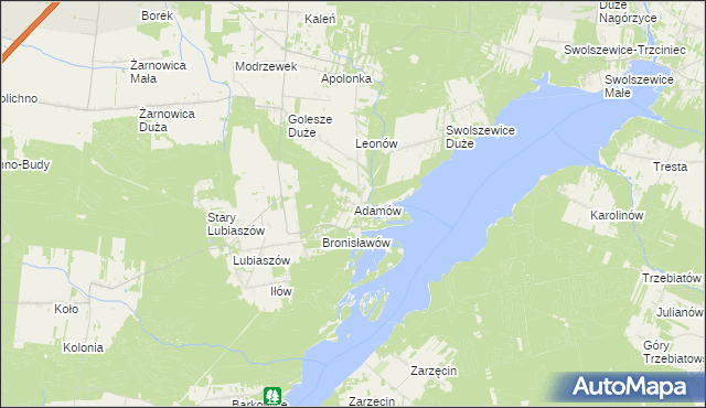 mapa Adamów gmina Wolbórz, Adamów gmina Wolbórz na mapie Targeo