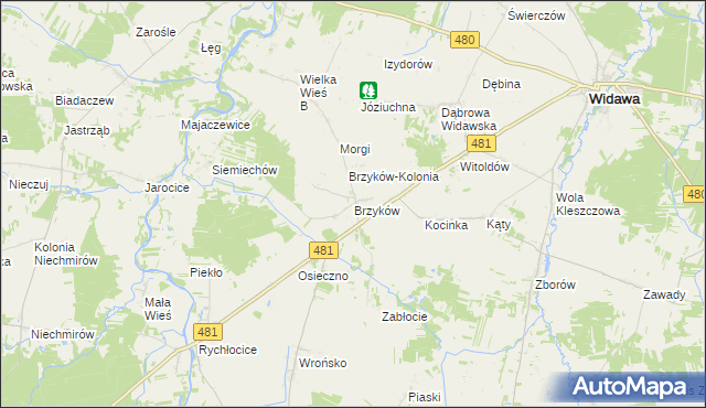 mapa Brzyków gmina Widawa, Brzyków gmina Widawa na mapie Targeo