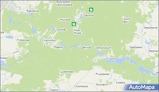 mapa Czernice gmina Murowana Goślina, Czernice gmina Murowana Goślina na mapie Targeo