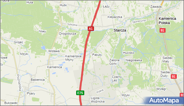 mapa Pakuły gmina Woźniki, Pakuły gmina Woźniki na mapie Targeo