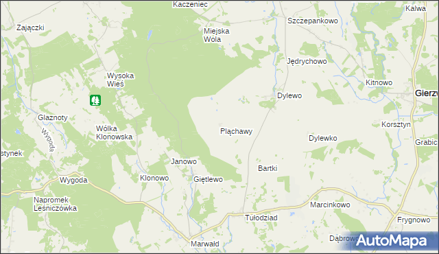 mapa Pląchawy, Pląchawy na mapie Targeo