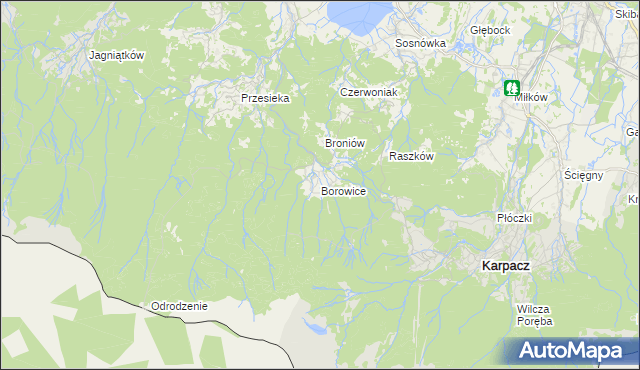 mapa Borowice gmina Podgórzyn, Borowice gmina Podgórzyn na mapie Targeo