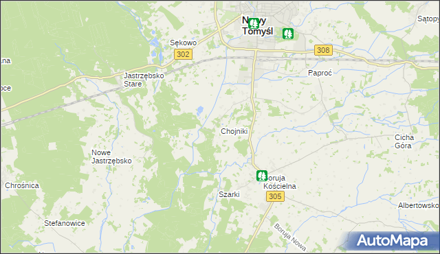 mapa Chojniki gmina Nowy Tomyśl, Chojniki gmina Nowy Tomyśl na mapie Targeo