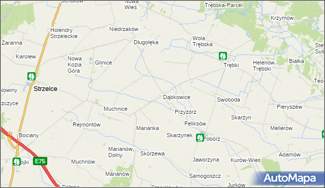 mapa Dąbkowice gmina Strzelce, Dąbkowice gmina Strzelce na mapie Targeo
