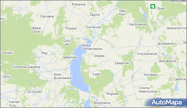 mapa Głogów gmina Wieniawa, Głogów gmina Wieniawa na mapie Targeo