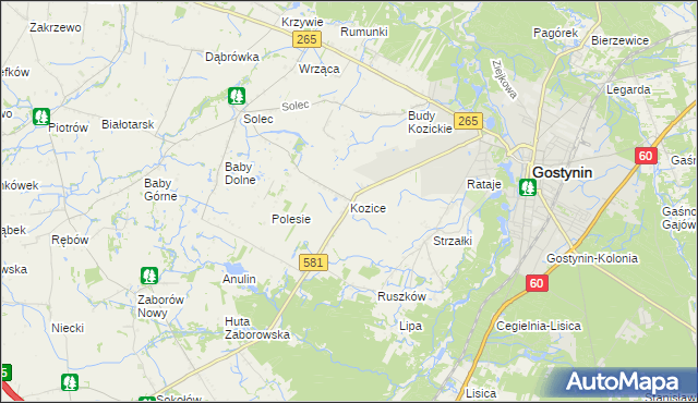 mapa Kozice gmina Gostynin, Kozice gmina Gostynin na mapie Targeo