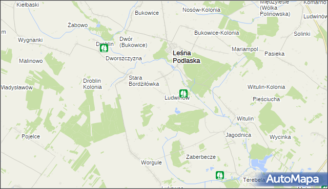 mapa Ludwinów gmina Leśna Podlaska, Ludwinów gmina Leśna Podlaska na mapie Targeo