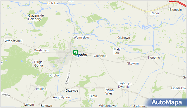 mapa Oleśnica gmina Zagórów, Oleśnica gmina Zagórów na mapie Targeo