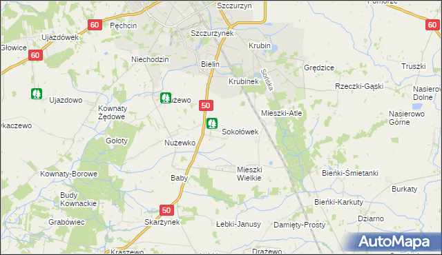 mapa Sokołówek gmina Ciechanów, Sokołówek gmina Ciechanów na mapie Targeo