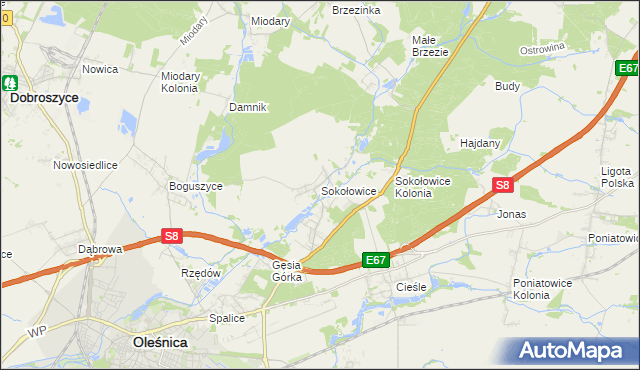 mapa Sokołowice gmina Oleśnica, Sokołowice gmina Oleśnica na mapie Targeo