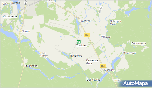 mapa Trzciniec gmina Czaplinek, Trzciniec gmina Czaplinek na mapie Targeo