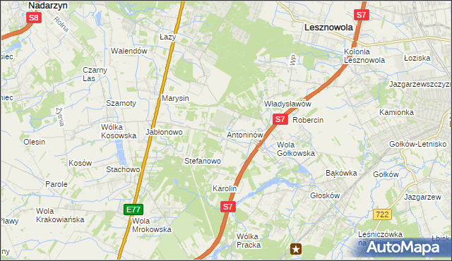 mapa Antoninów gmina Piaseczno, Antoninów gmina Piaseczno na mapie Targeo