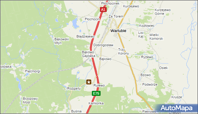 mapa Bąkowo gmina Warlubie, Bąkowo gmina Warlubie na mapie Targeo