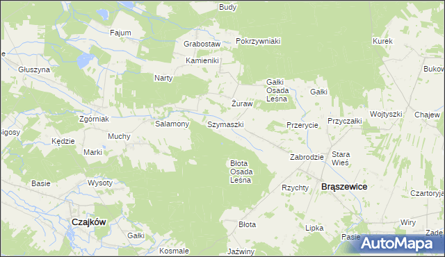mapa Sowizdrzały gmina Brąszewice, Sowizdrzały gmina Brąszewice na mapie Targeo