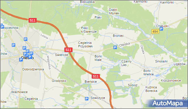 mapa Borki Małe gmina Olesno, Borki Małe gmina Olesno na mapie Targeo