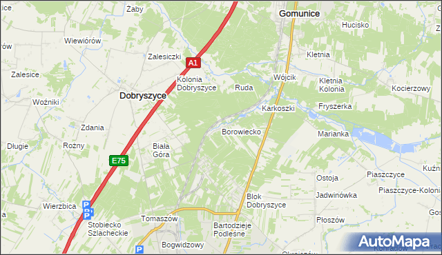 mapa Borowiecko, Borowiecko na mapie Targeo