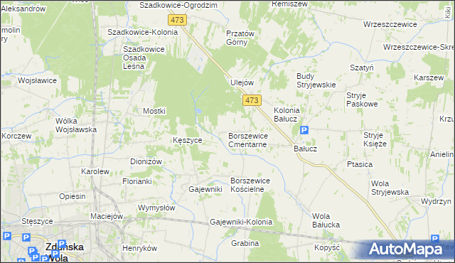 mapa Borszewice Cmentarne, Borszewice Cmentarne na mapie Targeo