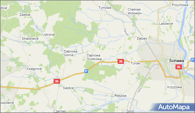 mapa Dąbrowa Dolna gmina Ścinawa, Dąbrowa Dolna gmina Ścinawa na mapie Targeo