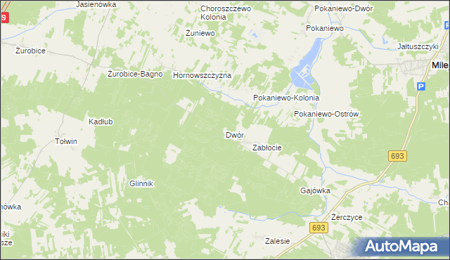 mapa Dwór gmina Nurzec-Stacja, Dwór gmina Nurzec-Stacja na mapie Targeo