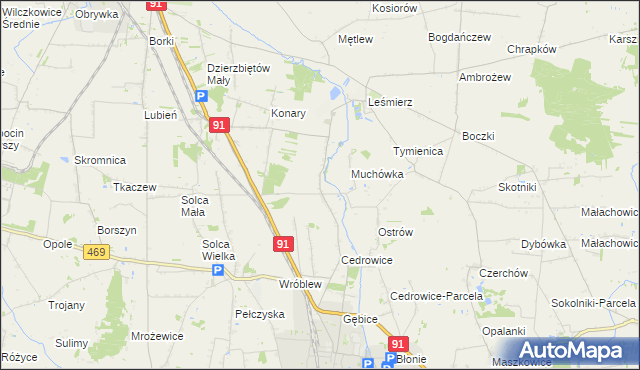 mapa Parzyce gmina Ozorków, Parzyce gmina Ozorków na mapie Targeo
