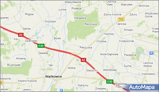 mapa Pełczyska gmina Wartkowice, Pełczyska gmina Wartkowice na mapie Targeo