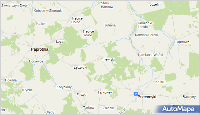 mapa Pniewiski, Pniewiski na mapie Targeo