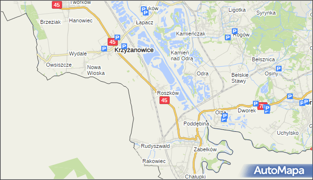 mapa Roszków gmina Krzyżanowice, Roszków gmina Krzyżanowice na mapie Targeo