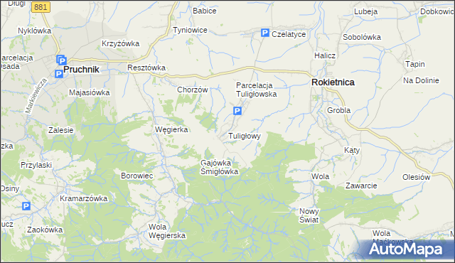 mapa Tuligłowy gmina Rokietnica, Tuligłowy gmina Rokietnica na mapie Targeo