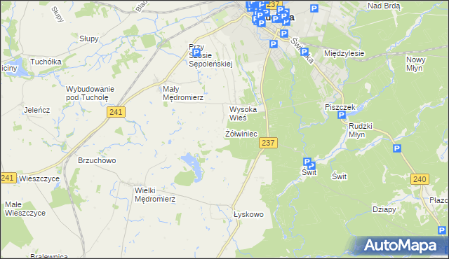 mapa Żółwiniec gmina Gostycyn, Żółwiniec gmina Gostycyn na mapie Targeo