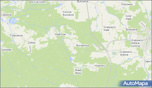 mapa Bukowinka, Bukowinka na mapie Targeo