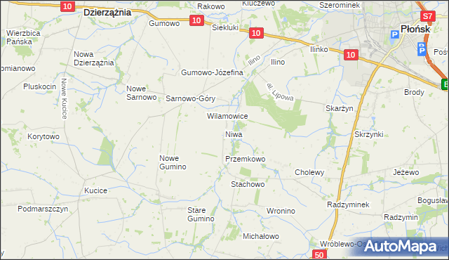 mapa Niwa gmina Dzierzążnia, Niwa gmina Dzierzążnia na mapie Targeo