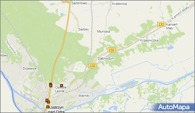 mapa Dąbroszyn gmina Witnica, Dąbroszyn gmina Witnica na mapie Targeo