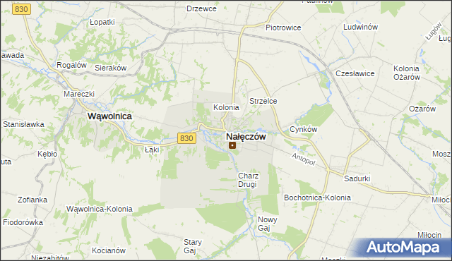 mapa Nałęczów powiat puławski, Nałęczów powiat puławski na mapie Targeo