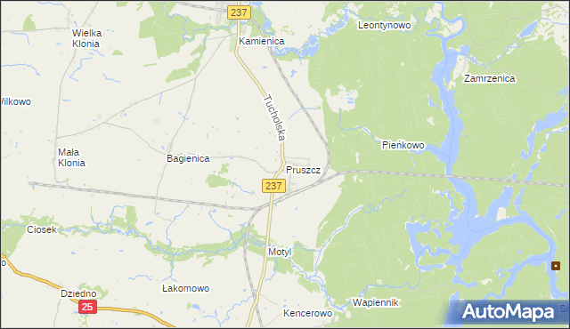 mapa Pruszcz gmina Gostycyn, Pruszcz gmina Gostycyn na mapie Targeo